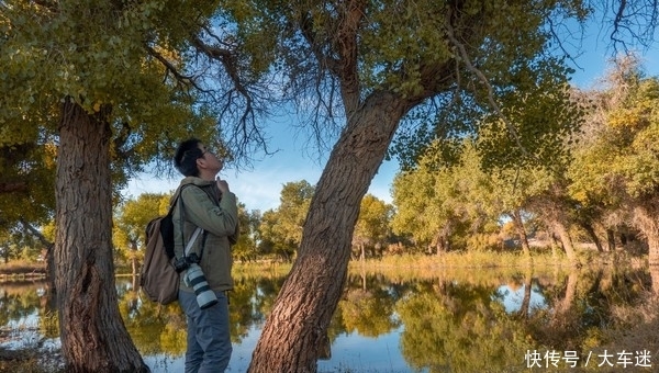 生三千年,死后再挺三千年,这里的树木不得了!