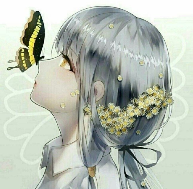 动漫头像:爱蝴蝶的女孩,希望能像蝴蝶一样翩翩