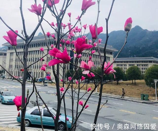  五峰县|曾是湖北最小的县城, 远看像一个镇, 搬迁后发展迅速