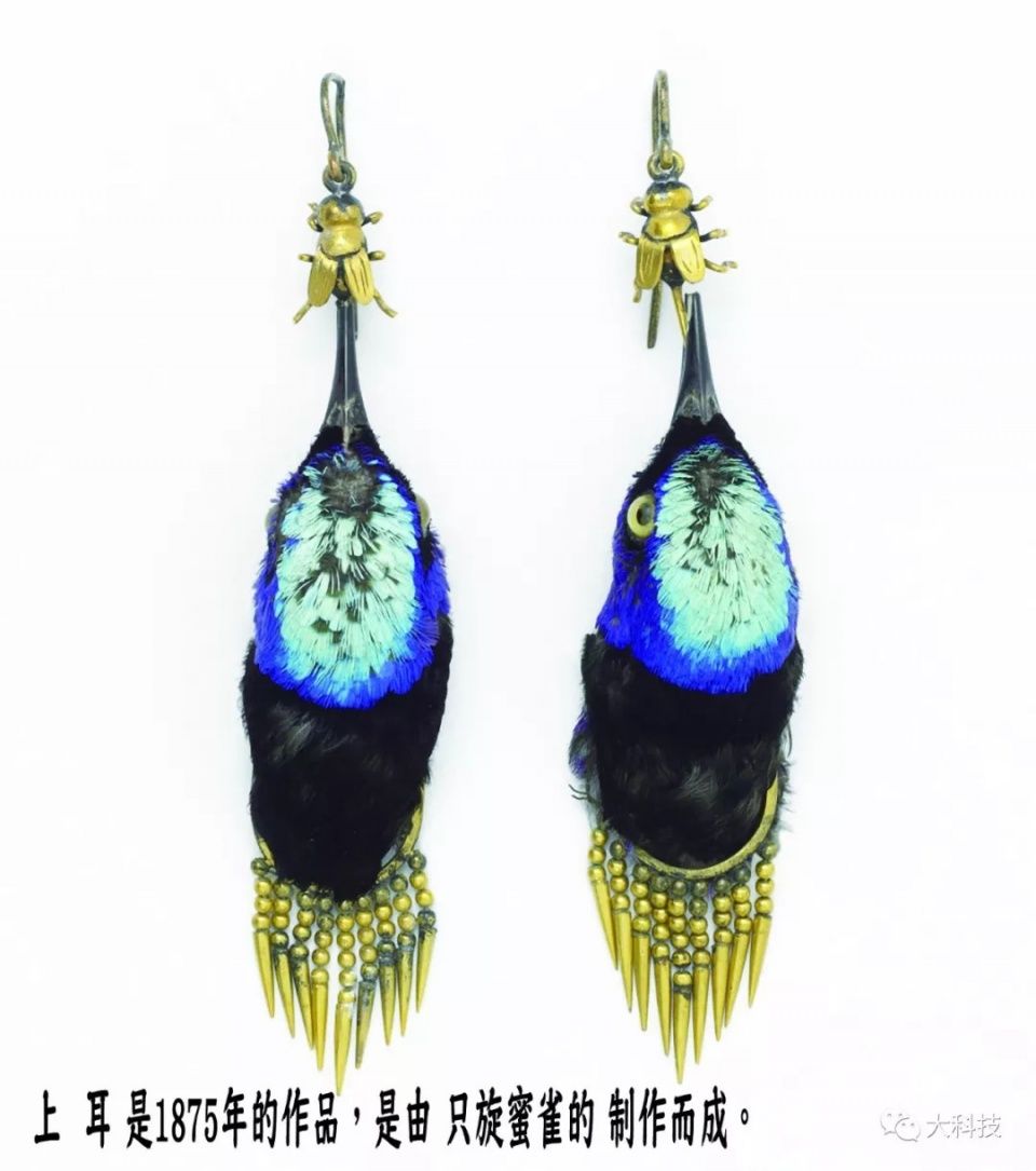 让时尚不再破坏地球