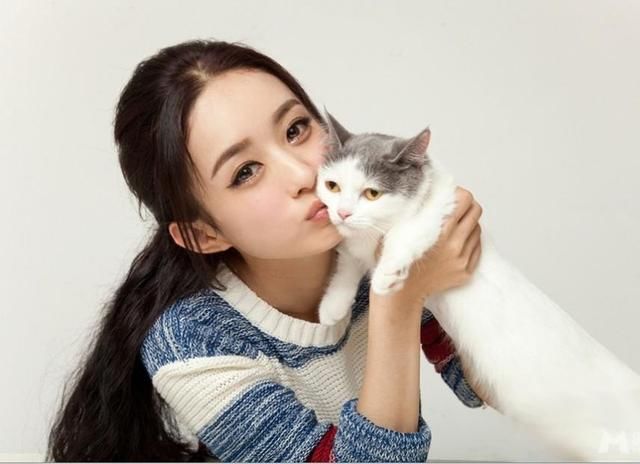 赵丽颖被迫停工的真相，看完你还舍得黑这个姑娘吗