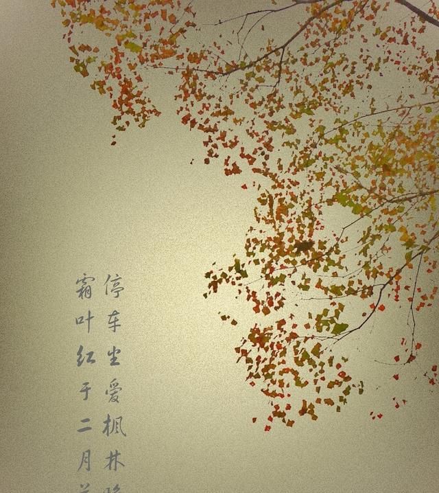  #凡事#人性之善恶，伪命题也自有宿命：凡事走中庸之道。