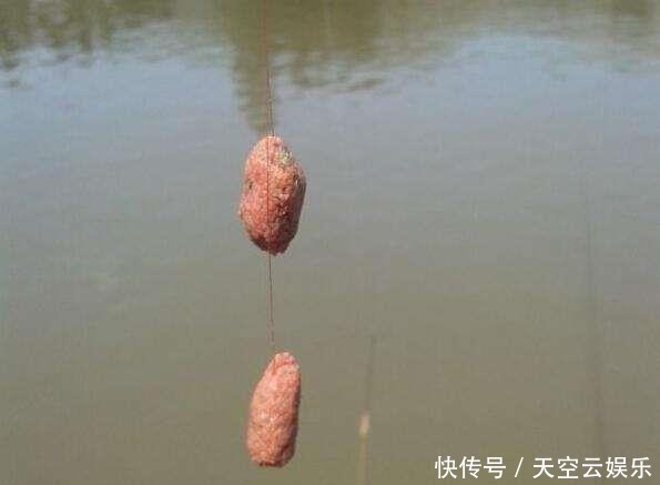 『饵料的味型』窝里有鲤鱼为啥不吃钩?这5点搞错,鲤鱼干着急吃不到!