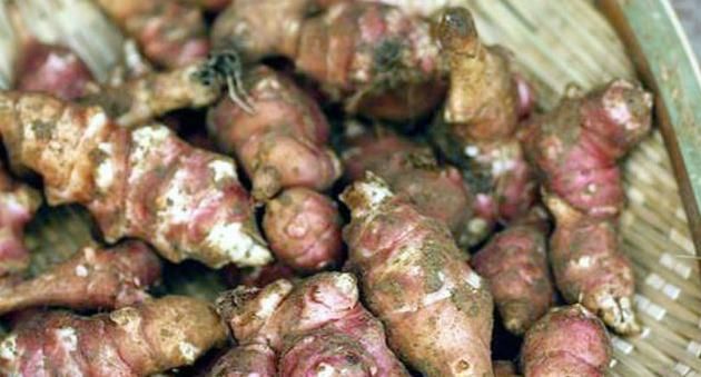 农村产量最惊人的蔬菜，随便找个地方就能种，几颗够一家人吃一年