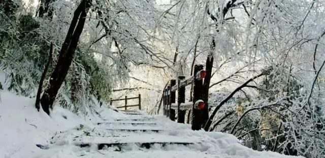 汉中汉江源雪景惹人醉，冬季赏雪不思归