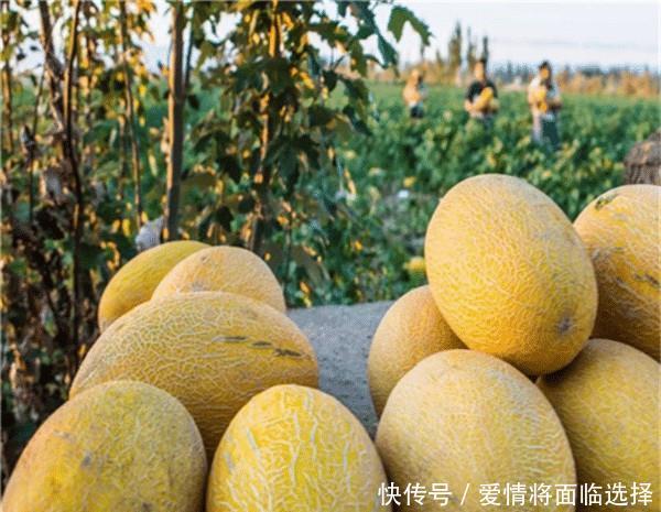 汉族小伙能和维族女孩结婚吗?看看维吾尔族姑娘怎么回答