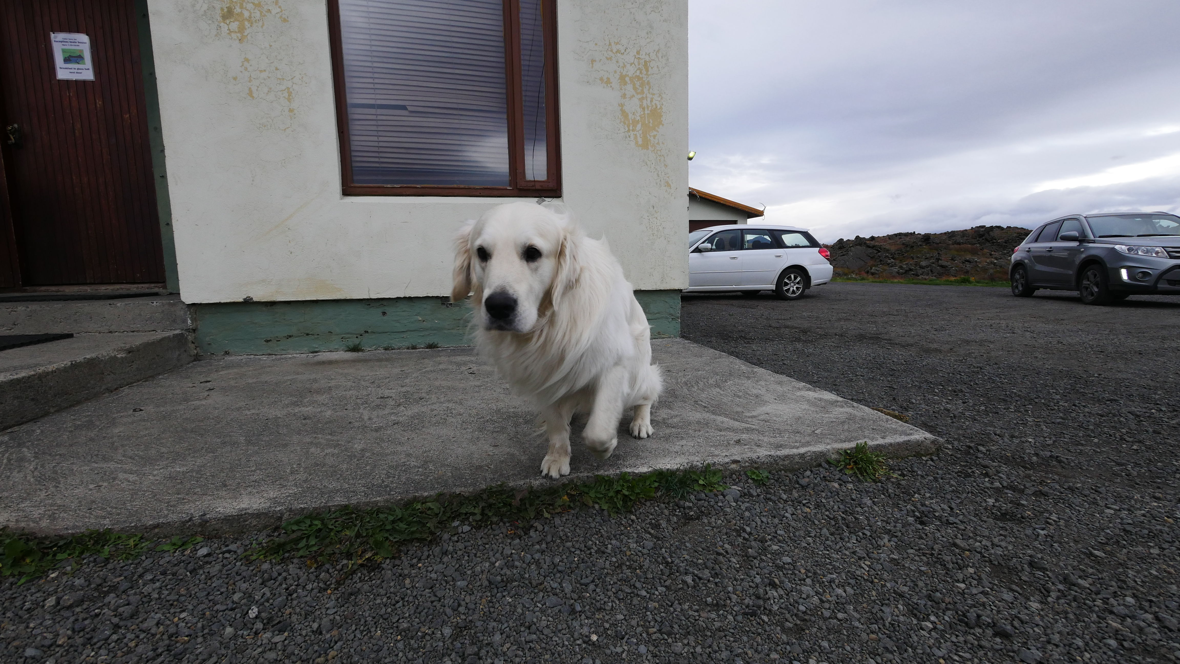一起去世界的尽头流浪 冰岛历险记（中）