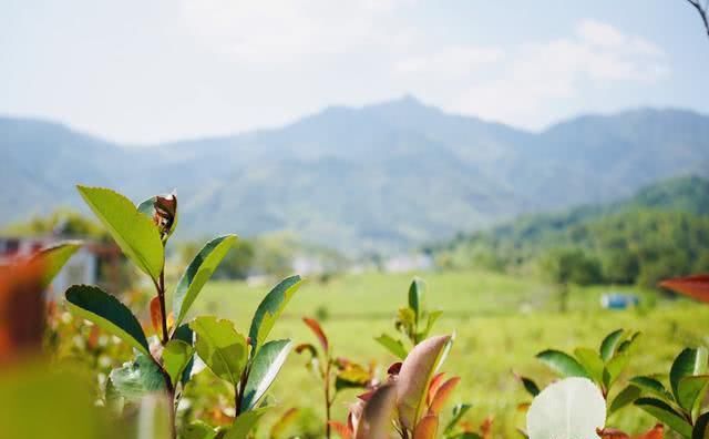 一天4个景区，门票没花钱，江西性价比最高的地方！