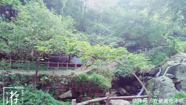 只知道重庆南山“一棵树”？其实，这里还有“壹碗水”