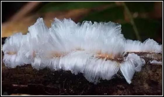 用图告诉你，世界鬼斧神工的美丽，是有多疯狂！