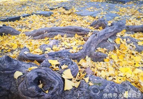  「合适」人生路需要一双鞋，苦乐之后自己体会，鞋合不合适只有脚知道！