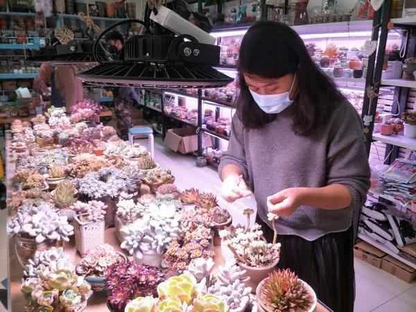  『讲价』探访郑州一花卉市场：往年土豪买花不讲价，今年买啥花都说“便宜点”