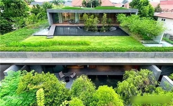  【花园】如果你有个屋顶，就建个花园吧