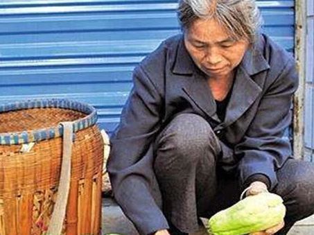  「稀罕」种一棵吃半年，南方很常见，北方很稀罕，是个潜力蔬菜