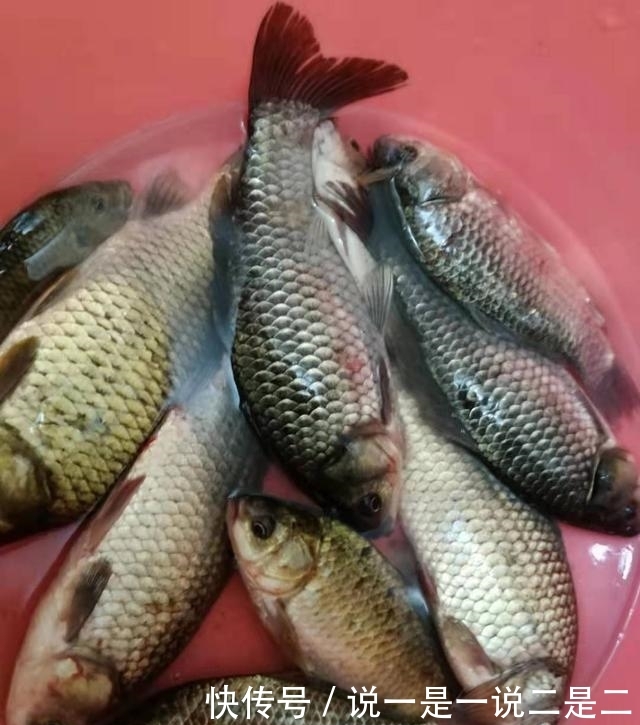  [没错]春钓滩没错，但不是所有的滩都有鱼，春钓浅滩攻略分享