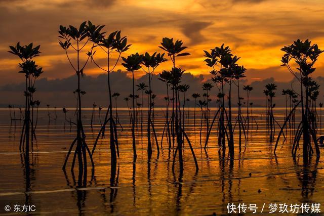 深圳旅游必去的10大旅游景点 不去会失望