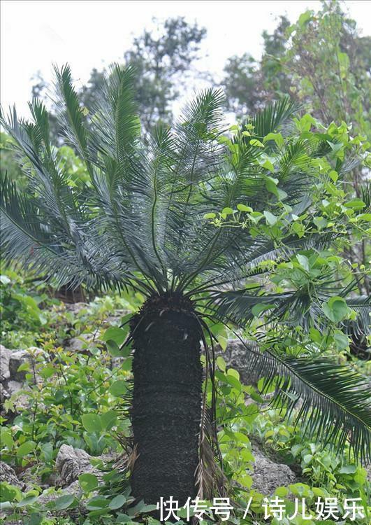  #唯一#中国唯一以花名命名的城市，地处两省交界，你一定知道！