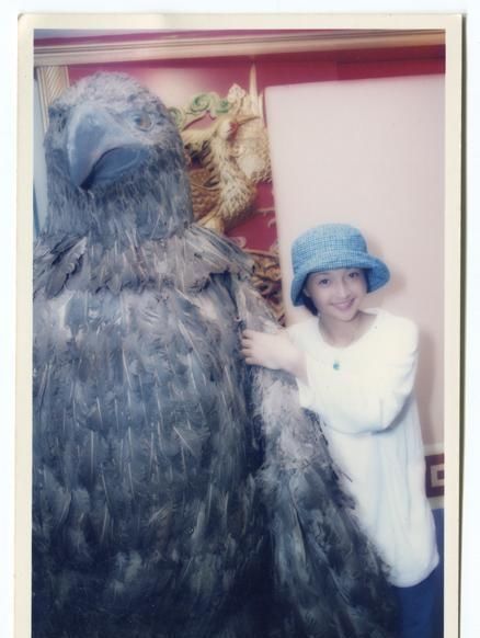 【追求】夺走钟汉良初吻,拒绝黎明追求,本该红过杨幂最后却选择息影