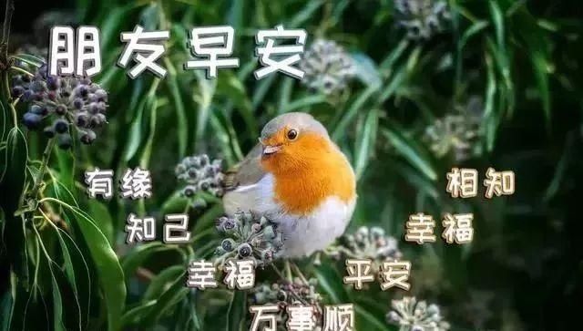  『时光』早安吉祥：时光很宝贵，愿你有诗、有梦、也有远方，早上好！