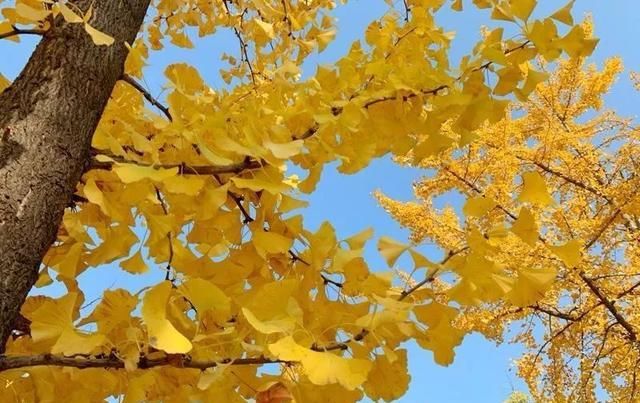 贝壳分享｜|看完这篇，又多了好多打卡地