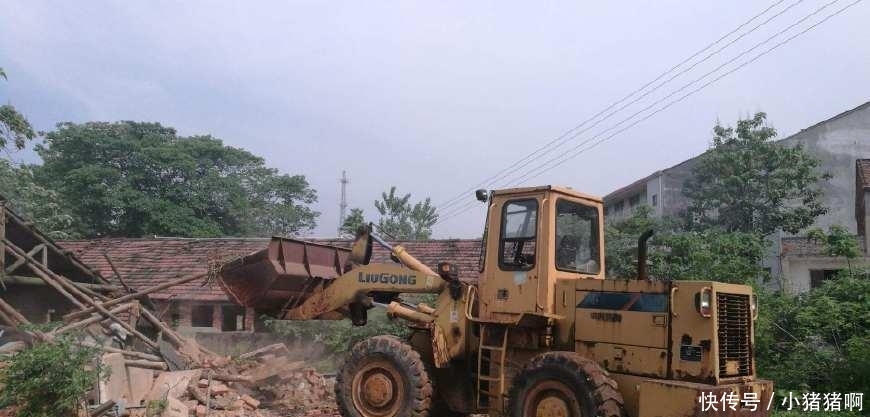 18年起, 农村这些地区“禁止”养殖, 不听劝阻的, 会被拆除并罚款