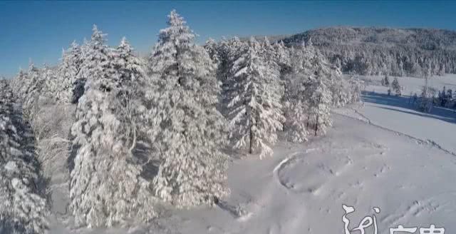 最美龙江飘雪时！银装素裹的黑龙江给你一个浪漫的童话世界