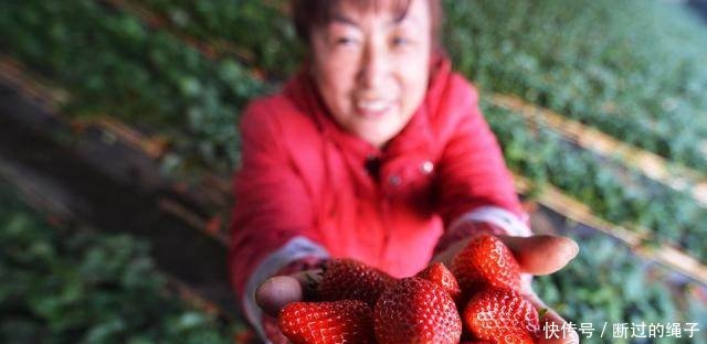 为什么说不愿意进城打工的农民，都是有远见的