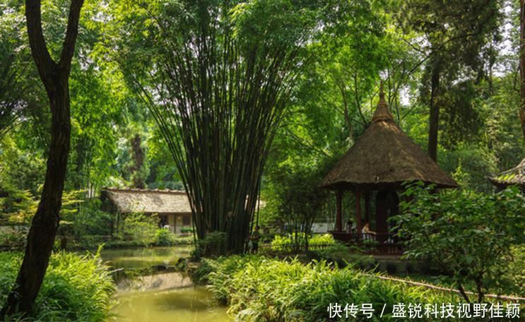 『精神的自由』庄子教我们,什么才是真正的富有原来富有并不仅是腰缠万贯