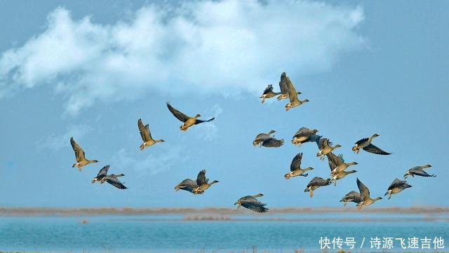 河南被埋没的湖，有“人造洞庭”美誉，是中国人工面积最大的水库