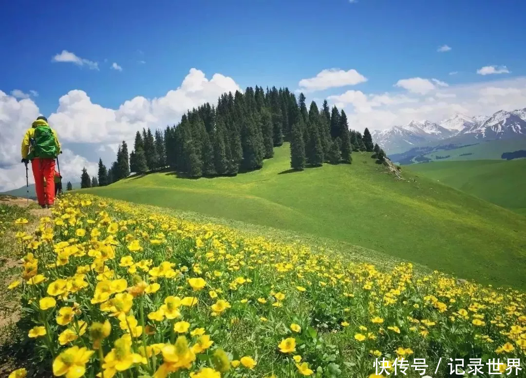 中国夏天最美的风景在哪里?你肯定不敢相信这