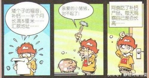  『迷人』猫小乐阿衰穿上女式校服，变身女装大佬还有点小迷人了