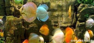 湖南有“三湘四水”之称, 到底都是指哪“三湘四水”呢