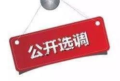 新疆生产建设兵团纪委监委面向疆外公开选调9名工作人员