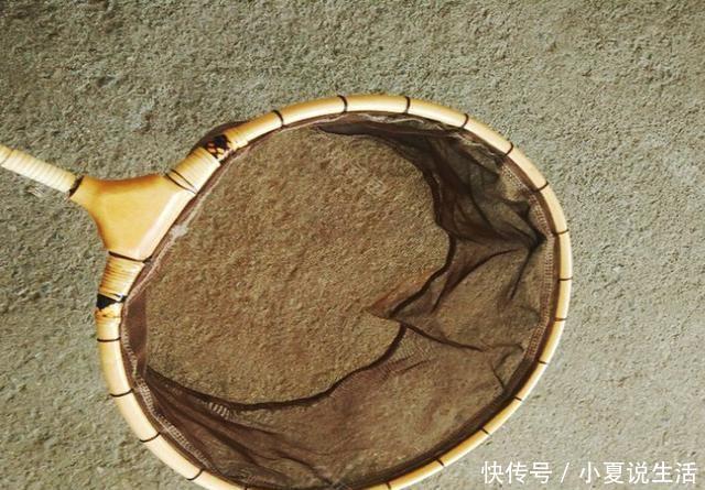  『五体投地』农村小伙用废旧物品，改钓具钓鱼，渔具店老板佩服得五体投地