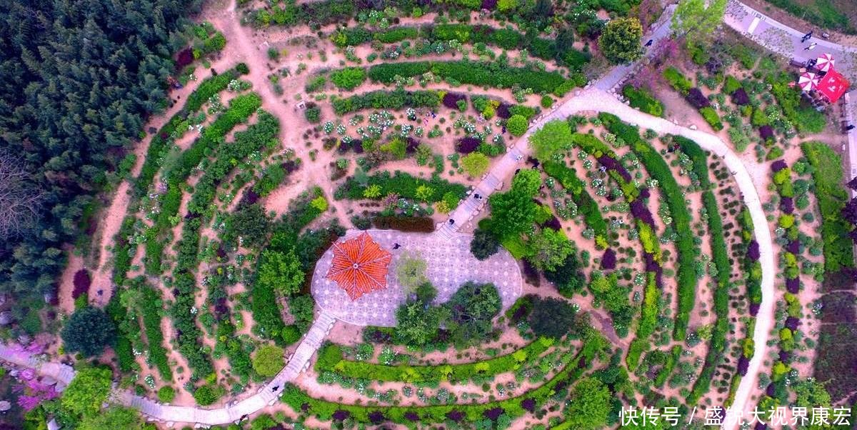 山东最有望跻身3线的城市，不是东营也不是日照，德州、枣庄落榜