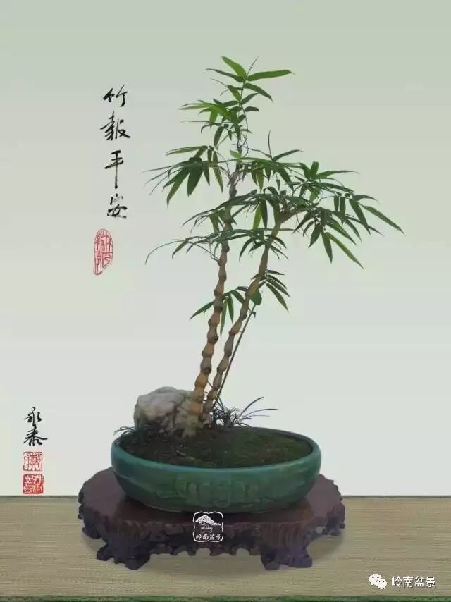 盆景构景十种风格