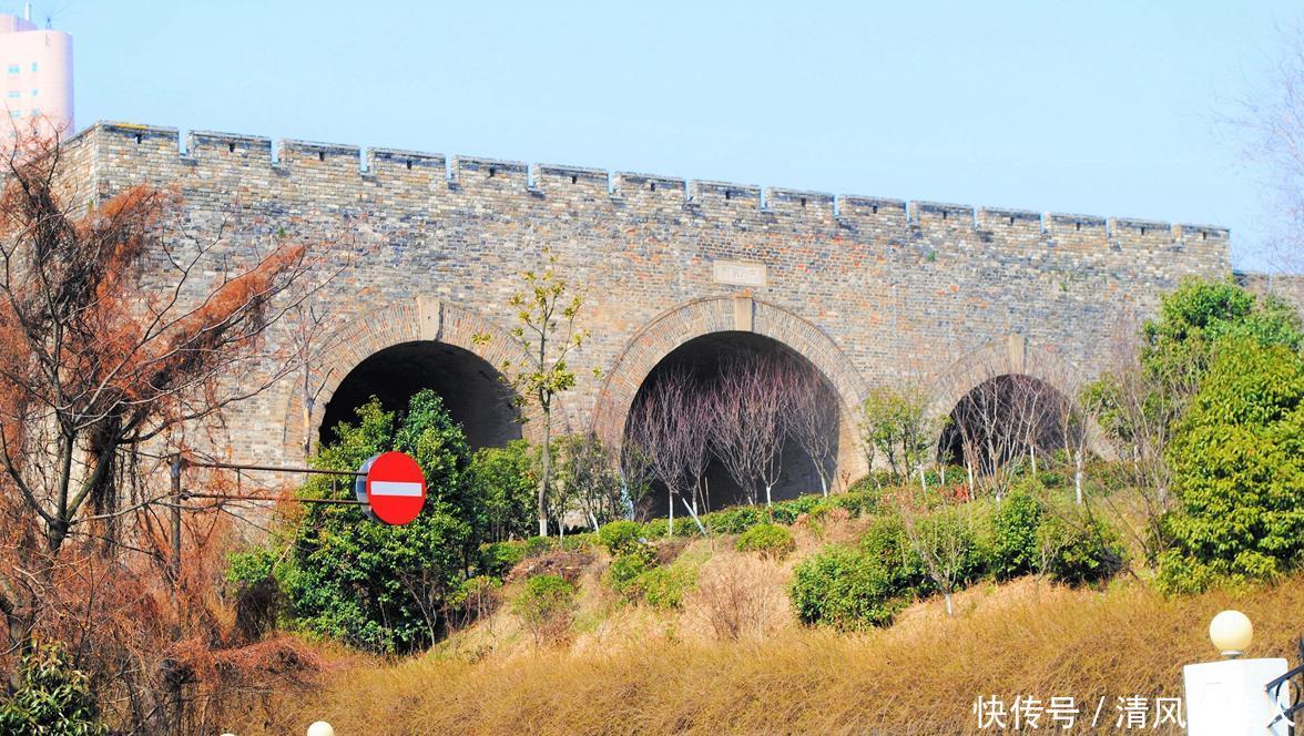 到南京赏花，这几个地方不可错过，尤其城墙内外，玄武湖畔，最美