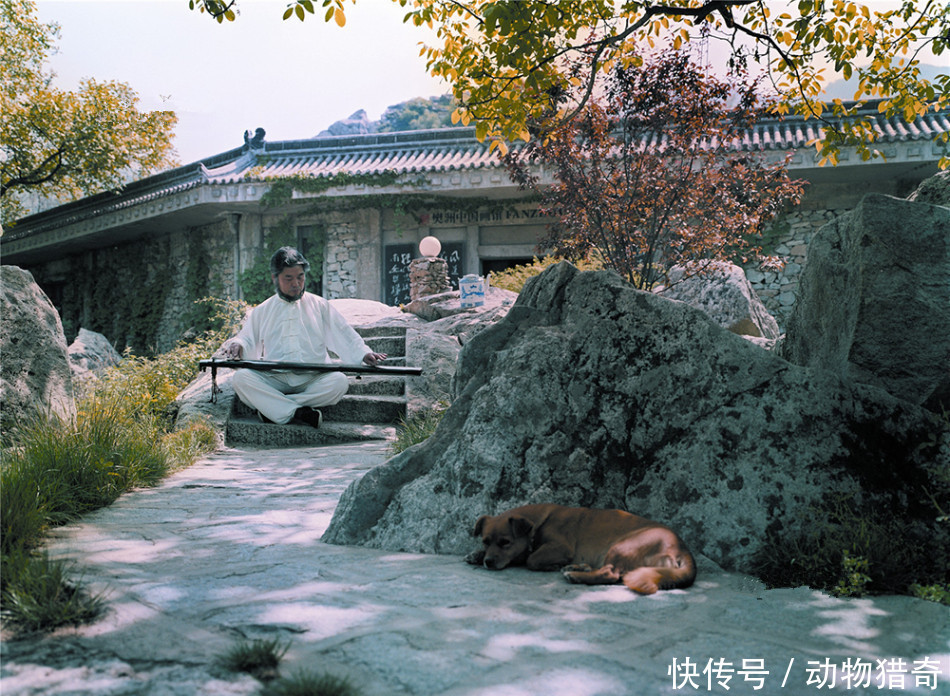  「农民」直击：他们在别墅里享受“隐密”的高质生活，琐事由周