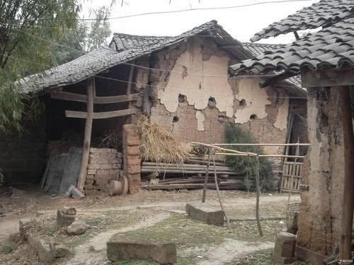  小贩买|为什么有很多小贩到农村高价收这些东西？