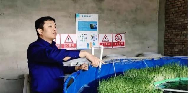  「生态」养鱼不用换水，种菜不用施肥，这种生态种养绝了