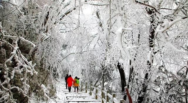 汉中汉江源雪景惹人醉，冬季赏雪不思归