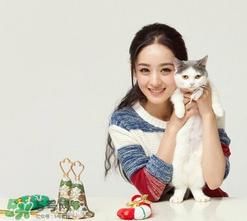 赵丽颖辟谣蹲在剧组吃饭 微博发文拒绝奇怪人设