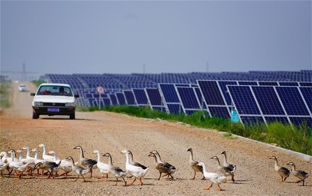 中国式奇迹：村民在电站养鸡羊，比上海大3倍的沙漠1/3变成绿洲