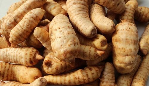  种植@山里人称“一根棍”的野草，根茎珍贵，城里1000块钱一斤买断货