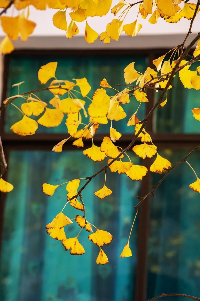 10个藏在深山人不知的古村落，却是世外桃源