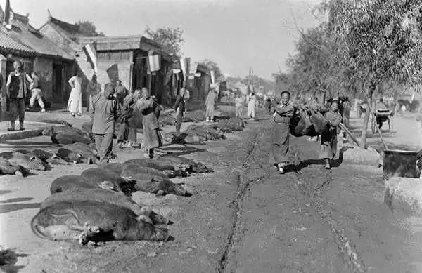 美国人在鞋盒里发现了6000张中国老照片，轰动全世界