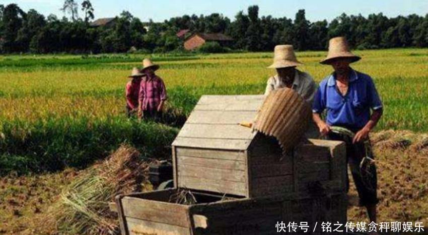  公粮|老农交的公粮能转换成社保吗？现在有答案了，听听专家的解