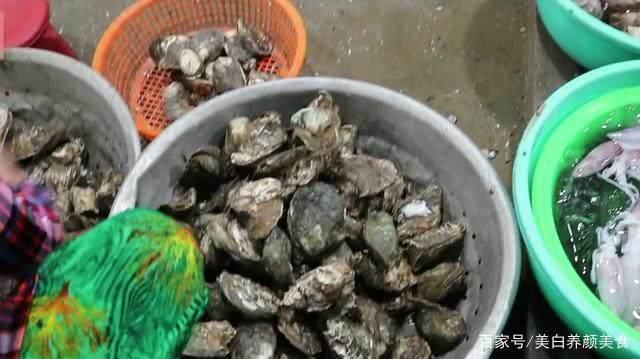 逛泰国海鲜市场,买了6斤蛏子10斤鱿鱼6斤海螺