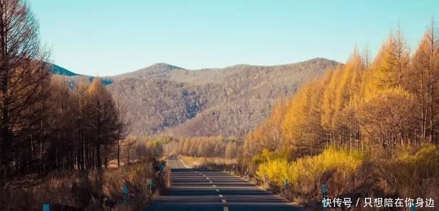 呼伦贝尔的秋天,美的太高级