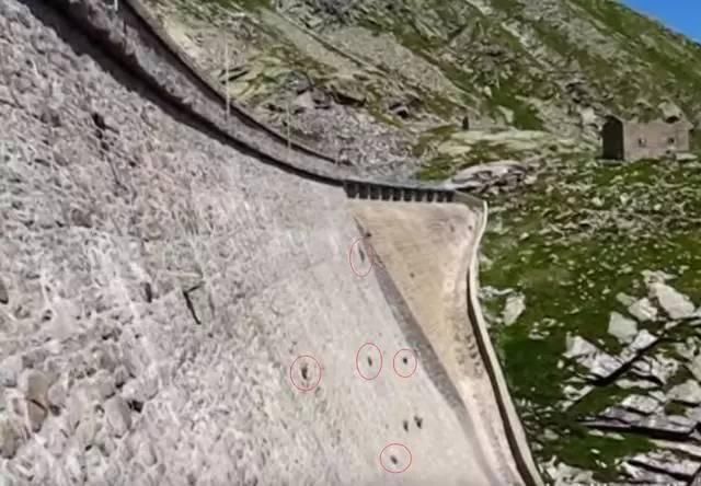 中国游客看到大坝上一些小黑点在动，把镜头拉进后所有人惊呆了